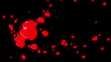 粒子花瓣浪漫花朵冲击屏转场视频的预览图